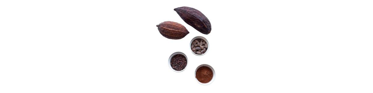 Cacao para Diabéticos | Mejor Precio | Diabify