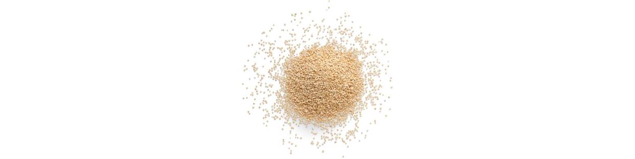 Comprar Quinoa Online | Alimentación | Diabify